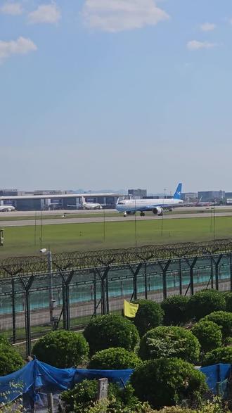 厦门航空A320neo落地萧山机场06号跑道,涂装真好看#飞机 #航空 #飞行 #厦航 #空客a320