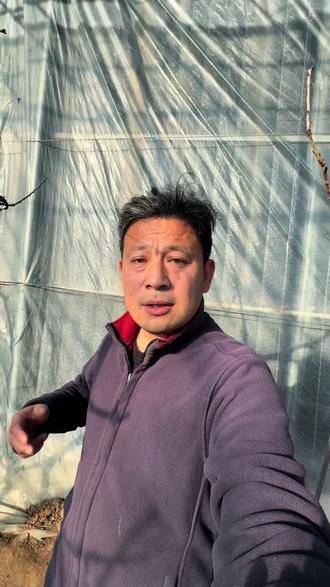 郑重声明,酸黄瓜不是农业圈鼓捣的 #返乡创业青年 #我的乡村生活 #抖音新农人 #酸黄瓜 #正能量