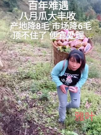 #超便宜超划算 #八月瓜#原产地#优质农产品 #新鲜应季水果