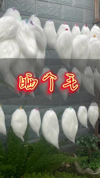 这是一个做毛小教程#兽装fursuit #教程 #福瑞 #兽