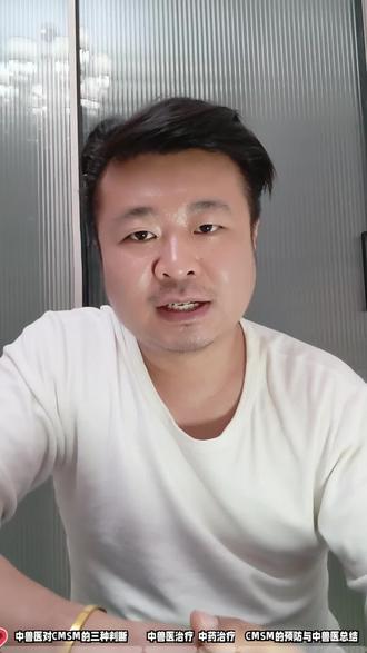 小型犬易患枕尾畸形脊髓空洞症,奇痒难治,中兽医三种症型辩证
