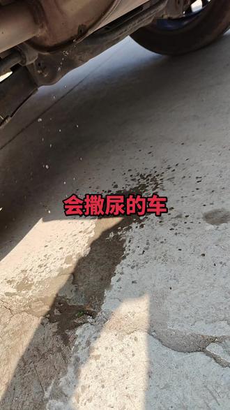 会撒尿的车,恐怕只有我的了。