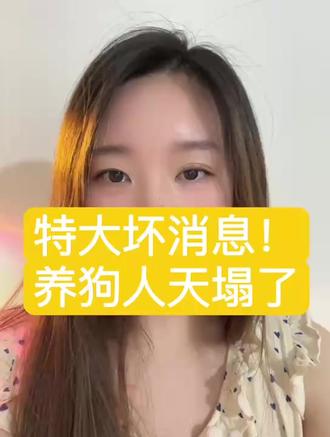 特大坏消息,遛狗人天塌了! #遛狗神器 #狗狗雨衣 #嬉皮狗