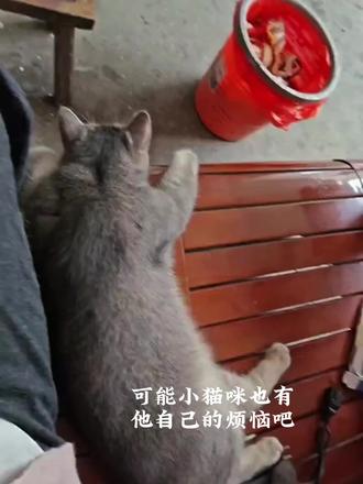 咪: 人 咪的世界老是下雨 咪处理不好