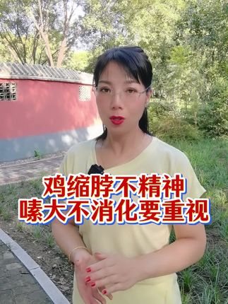 鸡缩脖不精神,嗉子大不消化,这样要重视了#养鸡人#养殖户