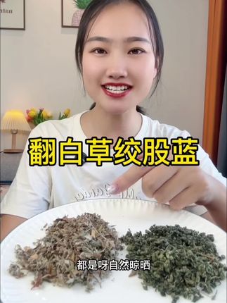 #翻白草 #绞股蓝 #翻白草绞股蓝 #翻白草茶