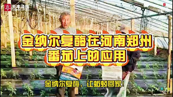 🍅20 年老棚救回来了!郑州番茄用金纳尔复酶,效果翻盘!
“金纳尔复酶,让蚯蚓回家!”——中牟县吴大哥的番茄棚里,藏着老棚逆袭的秘密✨!
这棚足足种了将近 20 年,之前因为牛粪盐分太大,连草莓都种不成,番茄更是年年棵细、长势弱。今年吴大哥换了金纳尔复酶套餐,底肥用法明明白白:两袋蚓多糖 + 两袋蚓多肽,搭配 80 斤复合肥 + 800 斤鸡粪,冲肥时还不忘加一包金纳尔原粉,没想到效果直接翻盘!
🌱 吴大哥肉眼可见的改变:
✅ 茎秆粗壮不旺长:往年番茄棵细易倒伏,今年茎秆敦实有力,抗病能力翻倍;
✅ 叶片厚实颜色正:叶片浓绿有光泽,光合作用更足,养分输送不打折;
✅ 果子暗藏优势:冲肥加原粉,不仅能让番茄亮度高、口感好,还耐运输,收购商更青睐;
✅ 老棚土 “回春”:20 年连作 + 高盐粪肥导致的土壤问题,被复酶套餐慢慢调理,植株扎根稳、长势匀!
“往年种着费劲,今年棵壮叶厚,多亏了金纳尔复酶!” 老棚种番茄不用愁,选对套餐 + 冲肥技巧,就能让弱苗变壮株,丰收稳稳的🌿!
👉 郑州番茄种植户速看!私信 get 吴大哥同款 “老棚焕新方案”,让你的番茄也能茎粗叶茂、高产卖好价!
#金纳尔复酶 #河南郑州番茄 #金纳尔农用酶制剂 #蚓多糖蚓多肽 #金纳尔生物酶