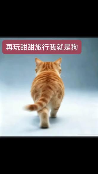 能沉浸式参演恋综 #甜甜旅行#恋综修罗场#手指轻轻点快乐玩甜甜