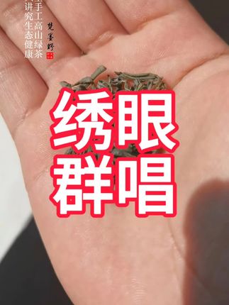 绣眼群唱音频,您看看效果如何?#绣眼 #绣眼鸟叫声 #喝好茶野茶找梵墨野 #梵墨野是个茶农请支持他