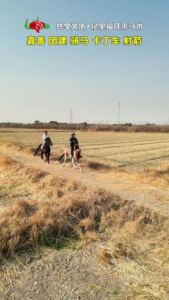 9.9玩整天?嘉善阿勒泰198学骑马398野骑! #骑马#户外运动 #野骑#亲子游玩#上海周边游