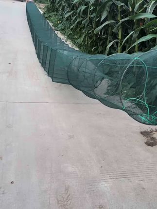 #生态养殖 #户外抓鱼 #黄鳝
