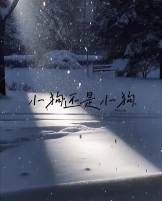 《小狗还是小狗》4
到这里就结束了。等我下一个剧本我一定做的长一点!有想看的设定可以打在plq!#橹穆 #杰丞 #哥狗