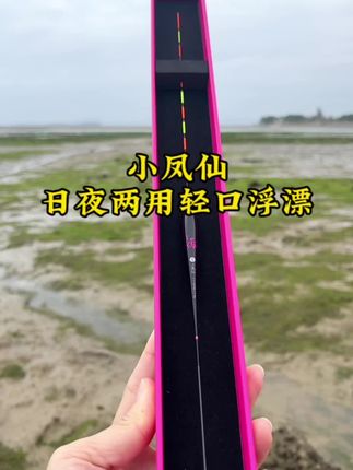 专为轻口滑口鱼而设计的浮漂#轻口鲫鱼 #钓鱼的乐趣只有钓鱼人懂 #高灵敏浮漂 #夜钓 #日夜两用夜光漂