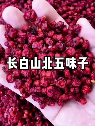 长白山精选五味子正品北五味子油籽无硫正宗泡水喝#五味子 #营养丰富 #喝出好气色 #常用五味子泡水喝的好处 #强烈推荐