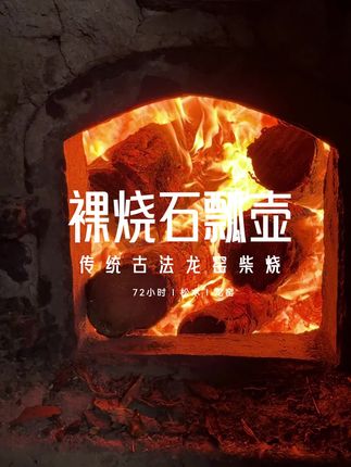 弱水三千,只取一瓢饮,这款石瓢壶泡茶更香! 可以养的一把裸烧石瓢壶#器物之美 #何白龙窑 #茶生活 #高端茶器 #夏天怎么能错过这杯东方茶