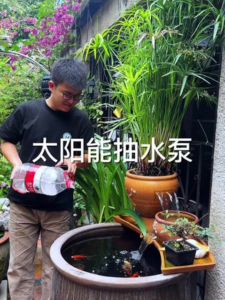 室外的鱼缸想做流水没有电源的朋友们,可以用这个太阳能抽水泵来做,夜间也想持续流水的可以买带蓄电池的。