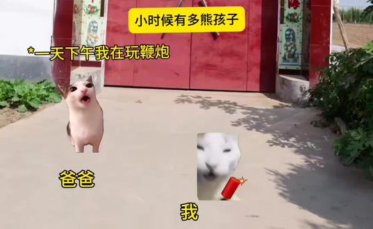 小时候能惹多大的祸 #日常迷惑行为 #抽象 #英雄杀 #英雄杀璇玑破妄 #英雄杀第57赛季 搞笑猫meme剧场 哈哈哈哈哈