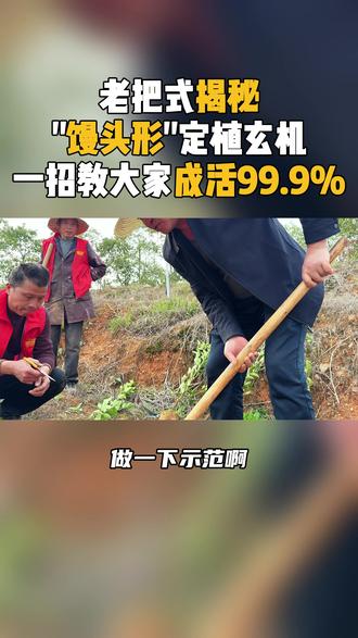 汗流浃背,实地教学! 一个视频教会大家如何把树苗成活率提高到100%#知识 #农业 #种植 #树苗#三农#农民 #科技#乡村守护人