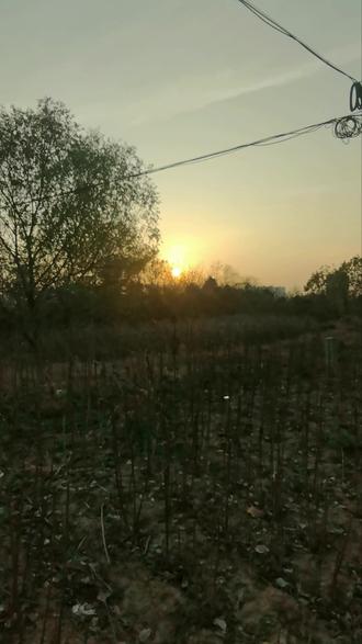 桐城东部新区新规划来了,继科创园动工后又一大利好,大型商业综合体规划,大家看好这个板块嘛#规划建设 #城市规划