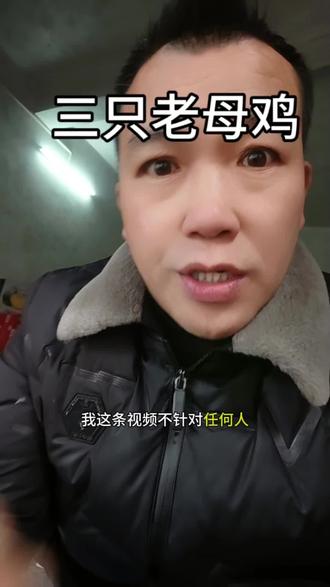 三只老母鸡的故事~