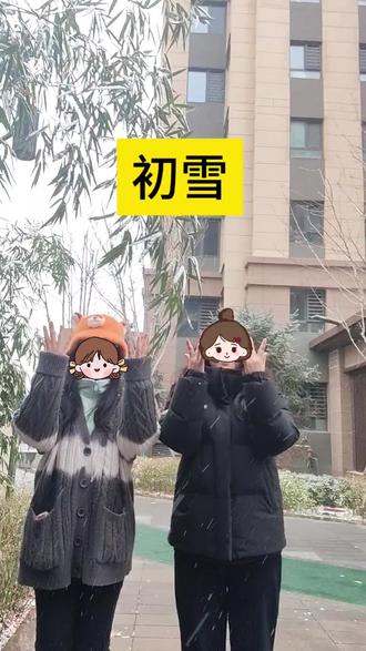 终于等到了初雪
不会版#初雪 #下雪了 #第一场雪
