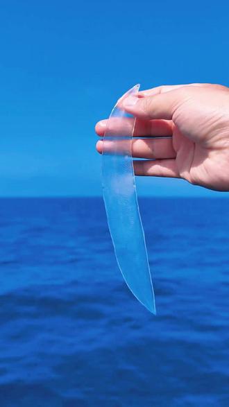 不是所有的海洋生物都可以捡! #赶海 #海洋 #涨知识