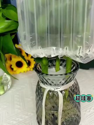 9.9到手两盆观音竹。家里一定要养一盆#观音竹寓意非常好,关键很好养,有水就能活#观音竹#水培植物#花卉绿植 #爱生活爱养花