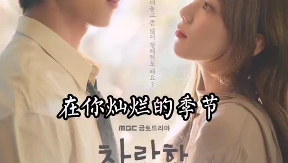 在你灿烂的季节#韩剧推荐 #影视解说 #好剧推荐