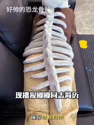 恐龙骨架头套毛绒玩具可爱成人大号玩偶公仔娃儿童生日礼物送女生