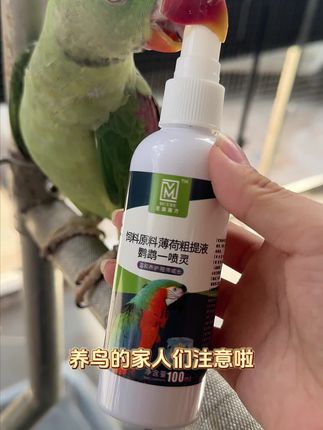 养鸟必看!鸟宝没精神、羽毛乱?快查体外虫!1.#鹦鹉啄毛怎么办#养鸟必备驱虫好物#鹦鹉寄生虫防治#新手养鸟避坑指南#手养鹦鹉