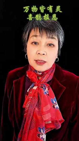 #抖音二创激励计划 #万物皆有灵#喜鹊报恩#喜鹊展翅@DOU+小助手