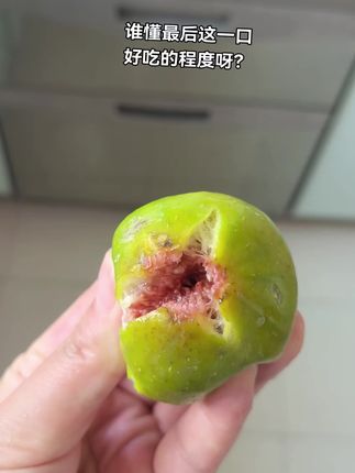 冰箱冷藏了3天的青皮!凝固了的果蜜#谁懂这一口的好吃程度 #青皮无花果 #好吃到停不下来 #应季水果 今年网购的水果中巨巨巨成功的就是这个青皮无花果了#软糯香甜