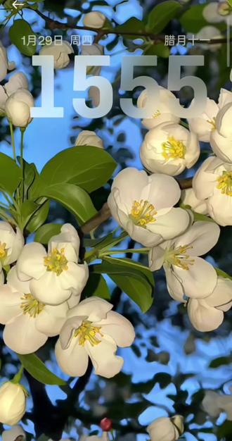 OPPO裸眼3d壁纸,设置详细教程来了 #OPPO#ColorOS#ColorOS16#3d#创作者扶持计划