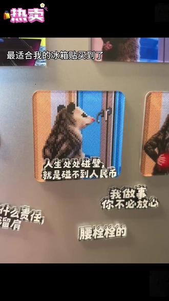 负鼠演我的精神状态 #负鼠表情包 #冰箱贴 #玩个很新的东西 #表情包