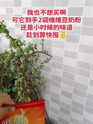 维维豆奶欢乐还是小时候那个味道哦#维维豆奶 #童年回忆 #超便宜超划算