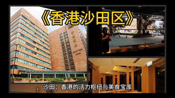 #沙田:习俗与美味交织的魅力之地
沙田区,位于香港新界东部,是一个融合了深厚文化习俗与丰富美食的地方。这里的传统习俗独具特色,特色小吃更是令人垂涎。
春节期间,沙田的大街小巷满是喜庆氛围。年廿八,家家户户都忙着“洗邋遢”,把屋子打扫得干干净净,再用柚子叶煮水洗澡,寓意洗去旧年的晦气,以全新的面貌迎接新年。除夕之夜,阖家团圆,围坐在一起吃团年饭,盆菜是常见的佳肴,各种食材层层叠放,象征着团圆和吉祥 。饭后,一家人会去逛花市,选购年桔、蝴蝶兰等花卉,为家里增添节日的喜庆。大年初一,晚辈向长辈拜年,长辈则会给晚辈发“利是”,送上新年的祝福。
沙田的习俗还与传统节日紧密相连。年初二是车公诞,许多人会前往沙田车公庙参拜,在求签祈福的同时,转动风车,祈求转运。端午节时,沙田城门河会举行热闹非凡的龙舟竞赛,河岸两旁围满观众,呐喊助威声此起彼伏,龙舟划过的水被视为“大吉水”,寓意吉祥。中秋节,沙田公园会举办彩灯展,人们会和家人一起赏月、吃月饼、点灯笼,共度团圆时光。
说到沙田的特色小吃,鱼蛋粉绝对是人气之选。滑嫩的鱼丸搭配浓郁的汤底,鱼丸Q弹爽口,咬下去满满的海洋鲜味,让人欲罢不能 。香煎鱼旦也不容错过,选用新鲜鱼肉制作,在热锅中煎至金黄,外皮酥脆,内里鲜嫩,鱼香四溢,令人回味无穷。糯米鸡同样是沙田的传统美味,鸡肉鲜嫩,糯米软糯,两者搭配,口感层次丰富,咸香适中。豉椒炒鱿鱼须也很有特色,鱿鱼须鲜嫩可口,与豉椒的鲜美相互融合,让人食欲大增。还有咖喱鱼蛋,鱼蛋弹牙,咖喱味浓郁,每一口都充满滋味,让人停不下来。萝卜牛杂也值得一试,牛杂入味,萝卜软糯,汤汁浓郁,一口下去,满满的幸福感。
沙田区,无论是独特的习俗,还是诱人的小吃,都散发着独特的魅力,吸引着人们去感受、去品味。