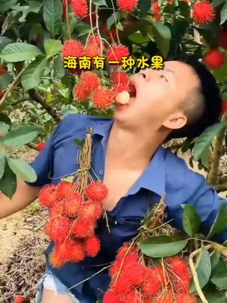 这个是来自海南的红毛丹,它的外形独特,非常惹人喜爱,而且味道鲜美,口感绝佳,吃起来脆甜可口,让人回味无穷。如果你还没有尝试过红毛丹,一定要试试看,相信你一定会爱上它。#新鲜采摘 #红毛丹 #舌尖上的味道