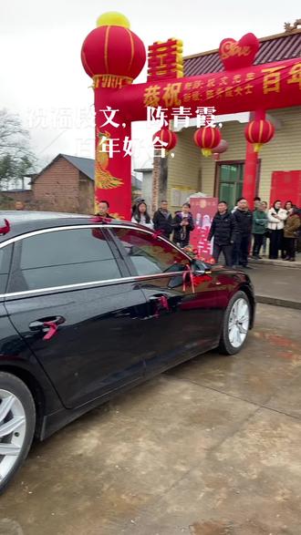 祝福段文,陈青霞,百年好合,