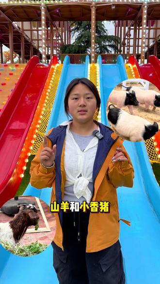 鹿小七农场放大招!拍卖大会.有机会带走山羊和小香猪!#亲子 #户外 #五一 #亲子游玩好去处 #鹿邑