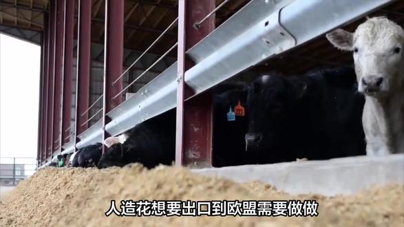 人造花就是以花为原型,用布、纱、丝、塑料等原料来模仿的假花。
人造花想要出口到欧盟就必须做REACH测试,否则就不能够在欧盟市场自由流通。
REACH主要内容是要求证明日用产品中不含对人体有害的化学物质。因此,凡是在欧盟生产的或者是进口到欧盟市场的日用产品,其中主要是指纺织品,必须通过有害化学物质含量的注册、检验和批准,一旦超过规定的含量就不得在欧盟市场上销售。
按照材料测试点可分为:金属REACH和非金属REACH大类,其中金属部分可以完全混合;而非金属不可以,非金属还需要明确分析:硬质塑料类、软质塑料类、玻璃类、陶瓷、纺织品、液体、半导体类等等。
#人造花 #REACH #欧盟