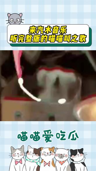 不允许还有人没听过这么萌的喵喵 #汽水音乐 #喵喵喵 #montagemmiau #阿米嘎蒂朵喵喵歌