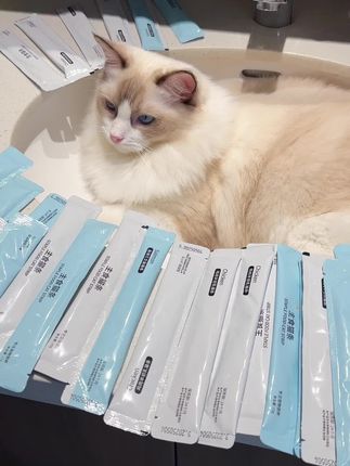 能吃主食猫条就千万不要喂零食猫条,否则吃多了就不吃猫粮了##养猫新手 #猫条#猫条测评#萌宠好物