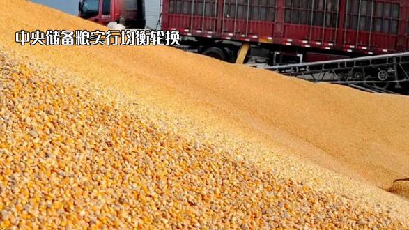 中央储备粮多久换一次?