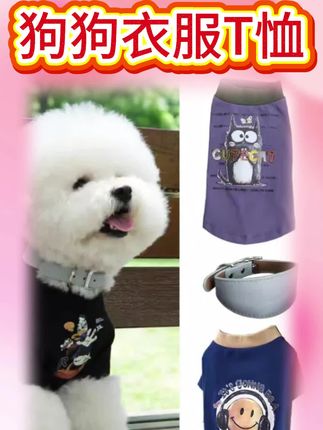 koalamate考拉伙伴狗狗衣服猫咪衣服宠物T恤春秋薄款组合#穿出高级感 #宠物用品 #新手养宠 #萌宠 #宠物衣服