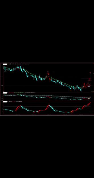 文华指标简单易懂,小白也能轻松上手!#期货#指标 #期货知识 #上热门 @DOU+小助手