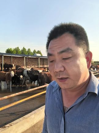 养牛家里要备的营养剂维生素ADE