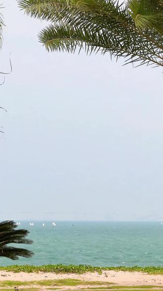 厦门五月一直下雨,感觉一年的☔️都下完了,终于等到晴天出门露营晒一晒,再呆家里要发霉啦#vlog #海边露营 #海边 #帐篷露营 #浪费时间