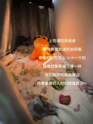 我真的是太爱男朋友啦~#毛绒公仔 #加菲猫 #好好睡觉 #玩偶 #分享
