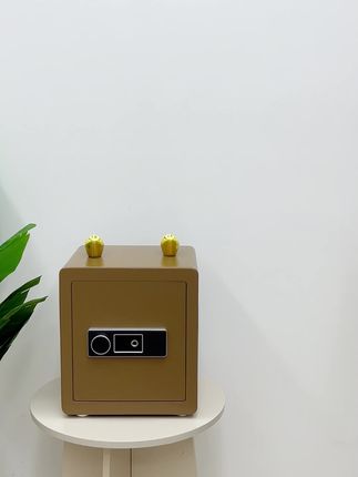 花大几百买个床头柜,还不如直接买咱家这款保险柜,兼具床头柜的实用性,又能存放贵重物品,全钢材质经久耐用,还可以固定在墙上,小偷搬不走 挪不动,关键是价格也很划算,喜欢的快来看看吧#保险柜 #保险箱 #保险箱十大品牌 #智能家居 #存钱
