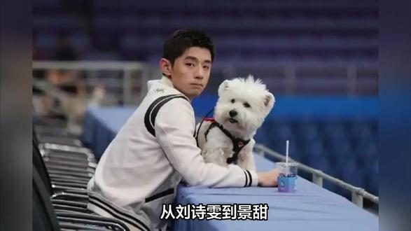 和张继科结婚?张蕊公司股东曝光,谁注意张继科妈妈选择